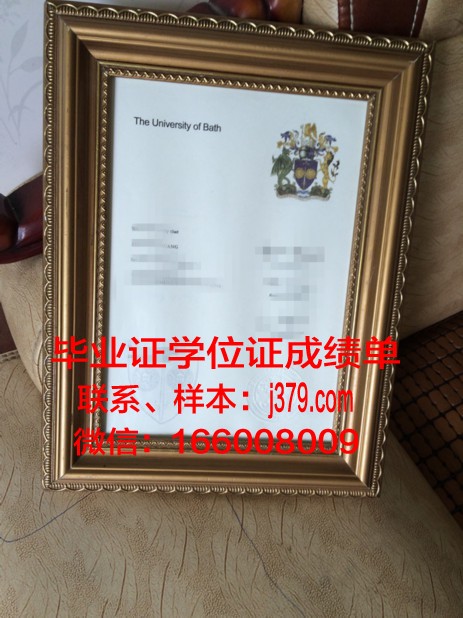 巴斯思巴大学成绩单：揭示高等教育质量与人才培养的秘密