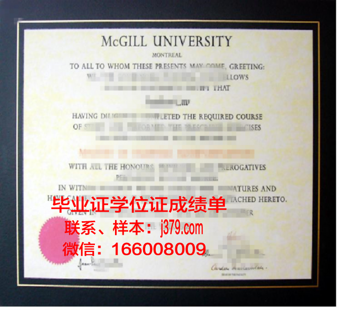 硕士学位证书样本电子版:数字化时代的学术证明