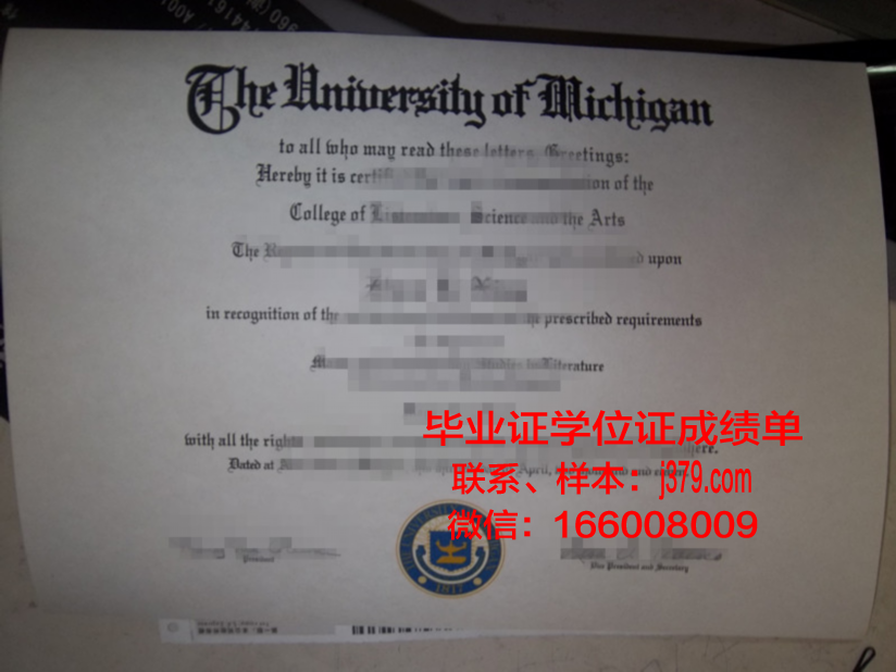 美因毕业证：一份承载荣誉与梦想的证书