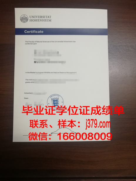 盖森海姆应用技术大学硕士毕业证书样本