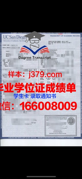 蔚大成绩单：揭示新时代少年的成长轨迹