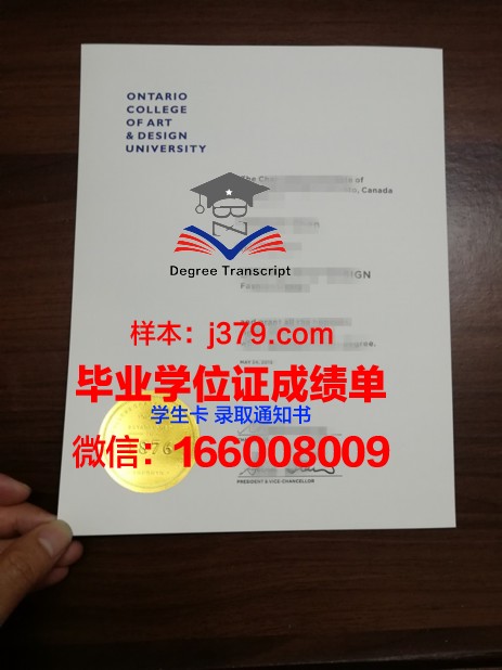 明尼阿波利斯艺术设计学院毕业学位