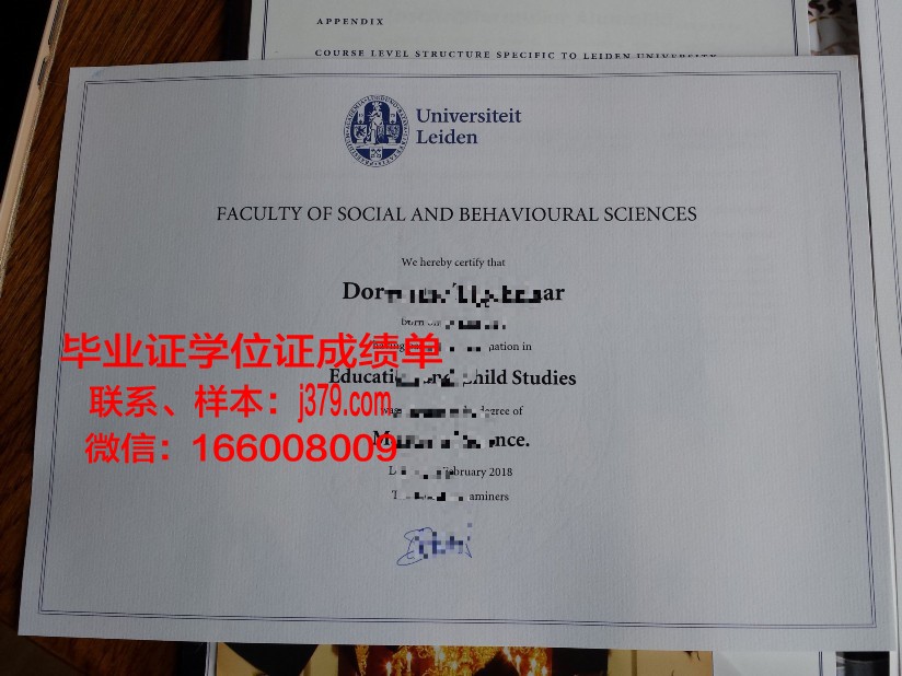 莱顿大学diploma证书(莱顿大学认可度)
