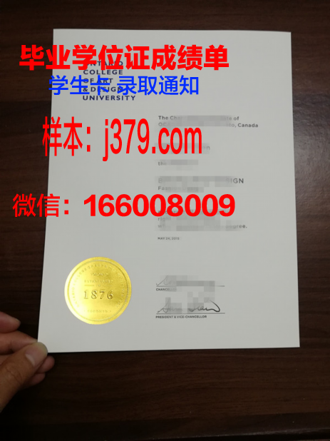明尼阿波利斯艺术设计学院毕业学位