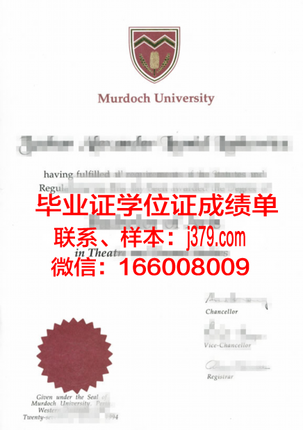 昆大本科毕业证书图片：一张纸的重量与梦想的承载