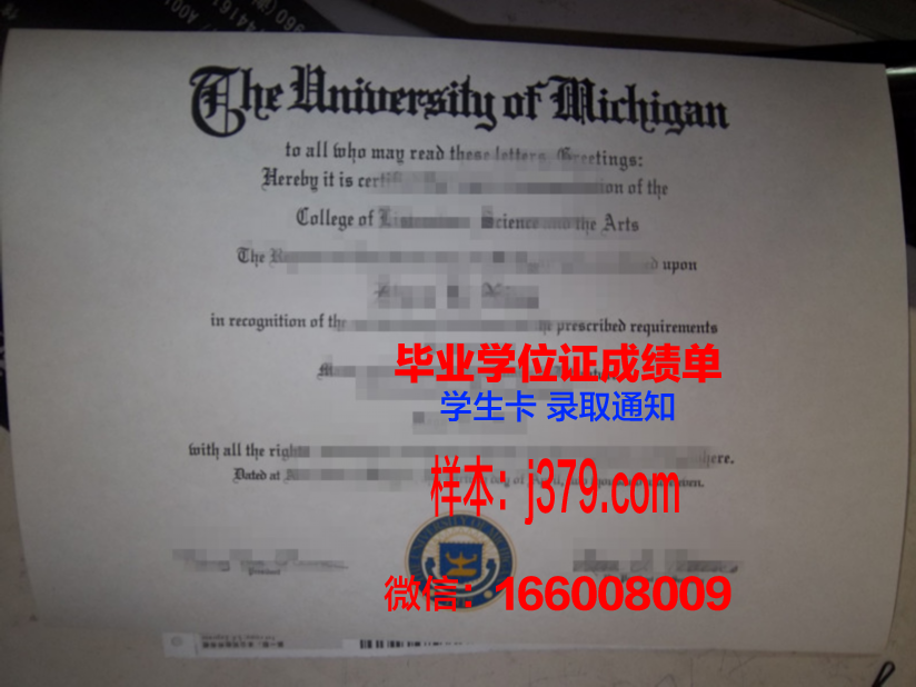 菜大本科毕业证：承载青春记忆的荣誉证书