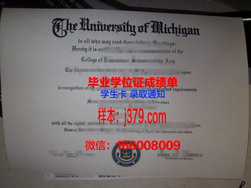 普通高校本科毕业证1996年发放：时代的印记与青春的见证