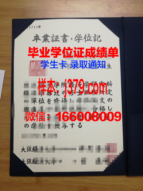 大阪艺术大学毕业学位
