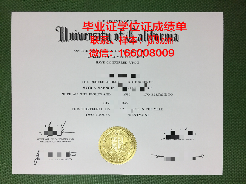 普纳帕拉蒂维迪雅皮斯大学毕业证定制：承载荣誉与梦想的匠心之作