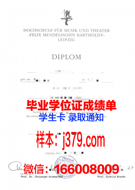 莱比锡HHL管理学院毕业证等级(莱比锡大学mba)