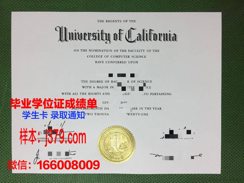 大阪府大毕业证：一张纸的重量与价值