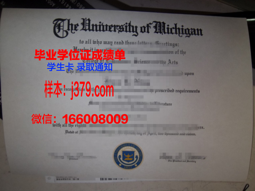 明尼苏达大学双城分校毕业证diploma