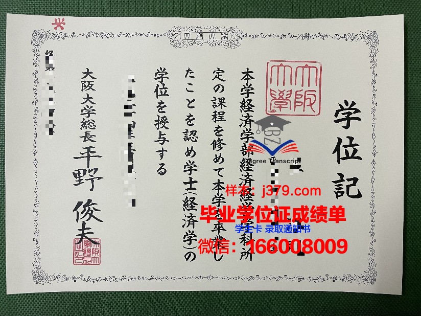 大阪观光大学博士毕业证：开启国际旅游行业新篇章的钥匙