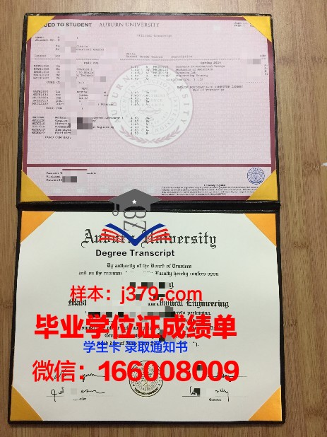 莱奥本矿业大学毕业证模板(矿大毕业证书)