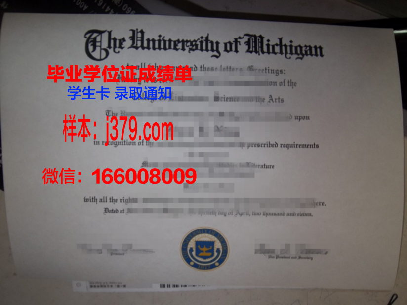 昌原大学博士毕业证(博士毕业证丢了怎么办)