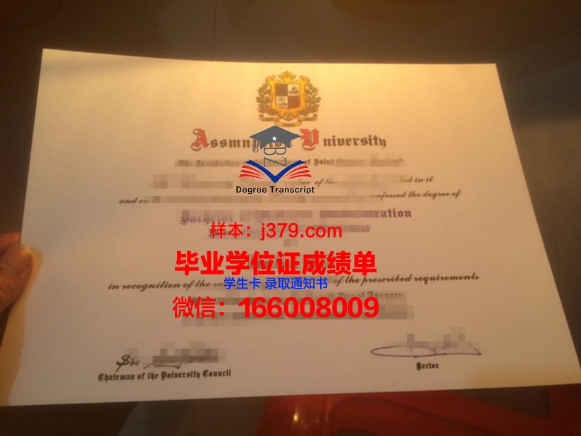 易三仓大学本科毕业证：开启国际化教育新篇章