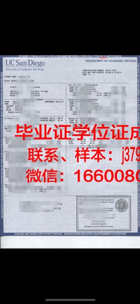 西伯科成绩单：解码科技巨头的成长轨迹