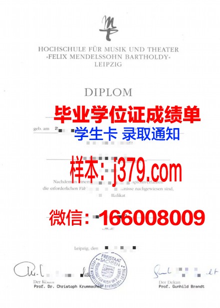 莱比锡音乐和戏剧学院成绩单(莱比锡艺术学院)
