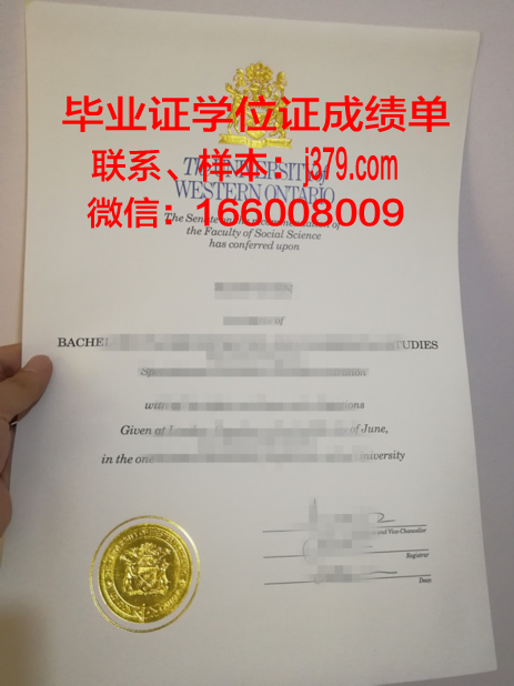 大略毕业证——探索学历证明的演变与发展