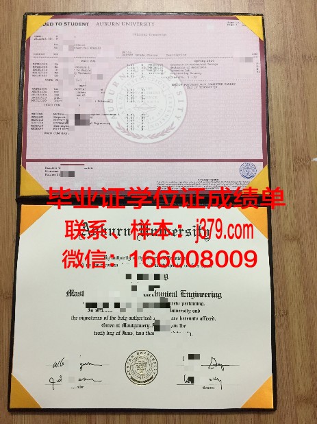 莱奥本矿业大学博士毕业证(矿大博士读几年)