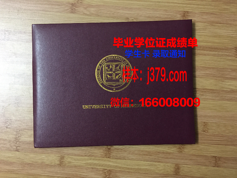 明尼苏达大学双城分校博士毕业证书(美国明尼苏达大学双城分校毕业证)