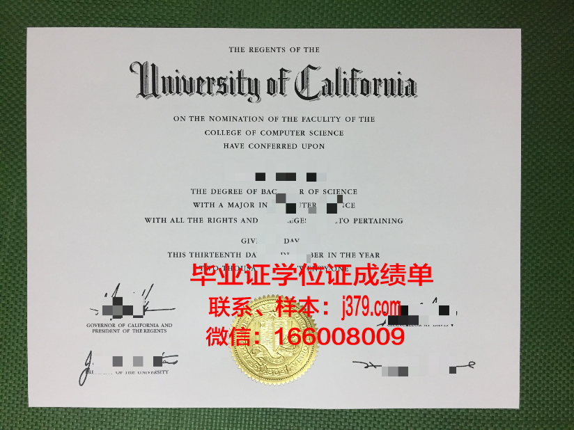 普通高校本科毕业证1996年发放：时代的印记与青春的见证