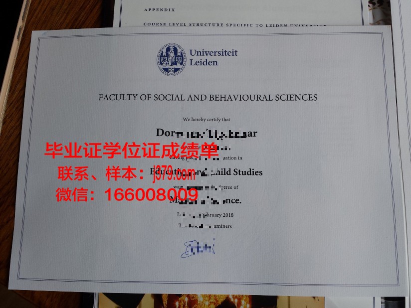 莱顿大学研究生毕业证(莱顿大学研究生申请)