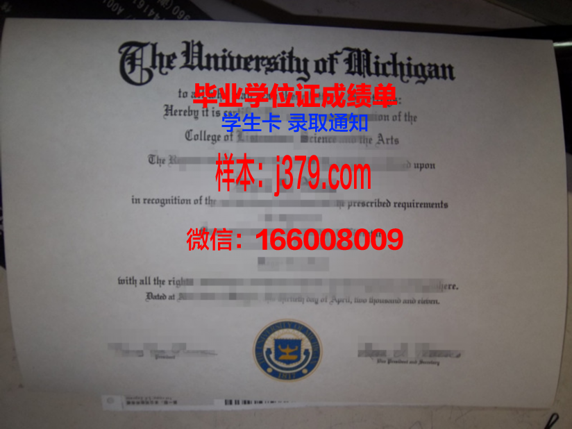 明尼苏达大学莫里斯分校博士毕业证：一份国际认可的学术荣耀