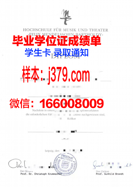 莱比锡HHL管理学院毕业证壳子(莱比锡管理研究生院)