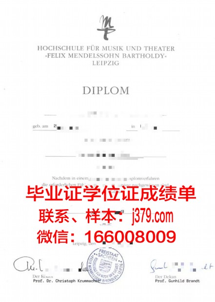 莱比锡HHL管理学院毕业证壳子(莱比锡管理研究生院)