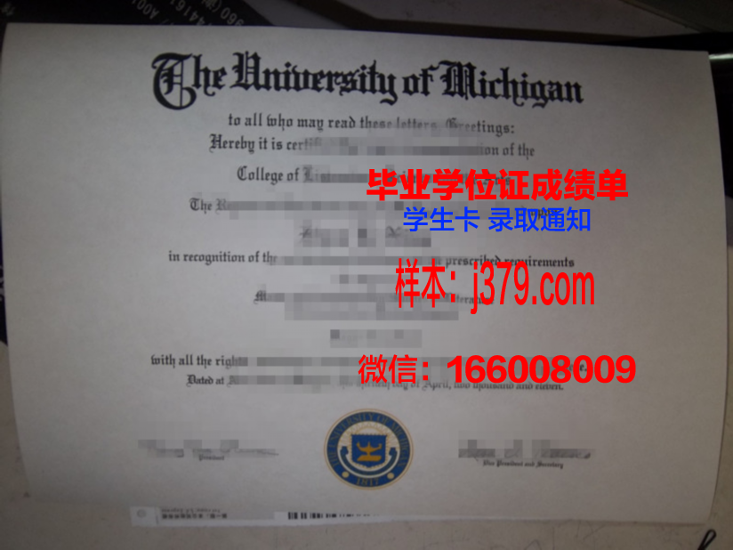 明尼苏达大学德卢斯分校毕业证学位文凭学历Diploma