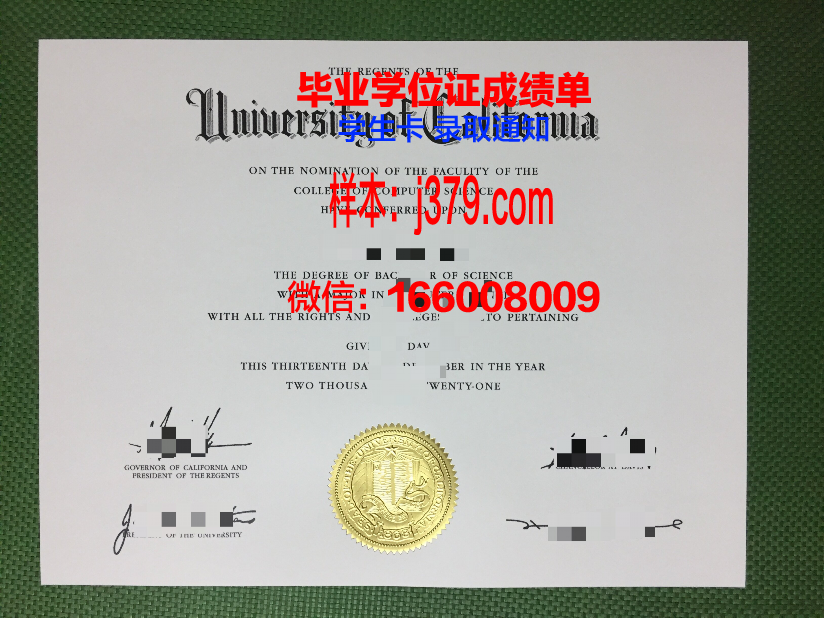 普林斯顿大学毕业证是什么样子(普林斯顿大学毕业生)