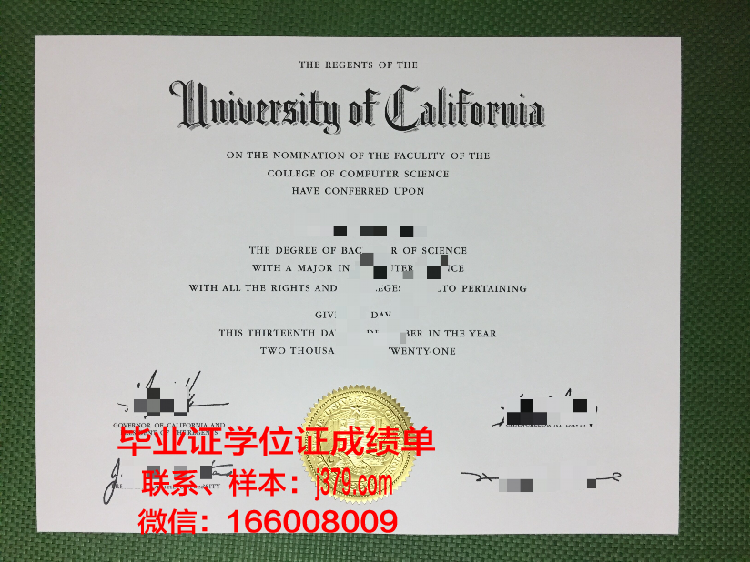 莱比锡大学毕业证样本(莱比锡大学本科申请)