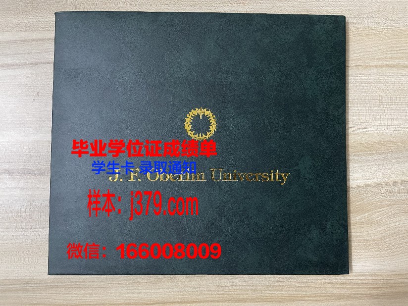 巴格达大学毕业证书图片模板(巴格达大学校门)