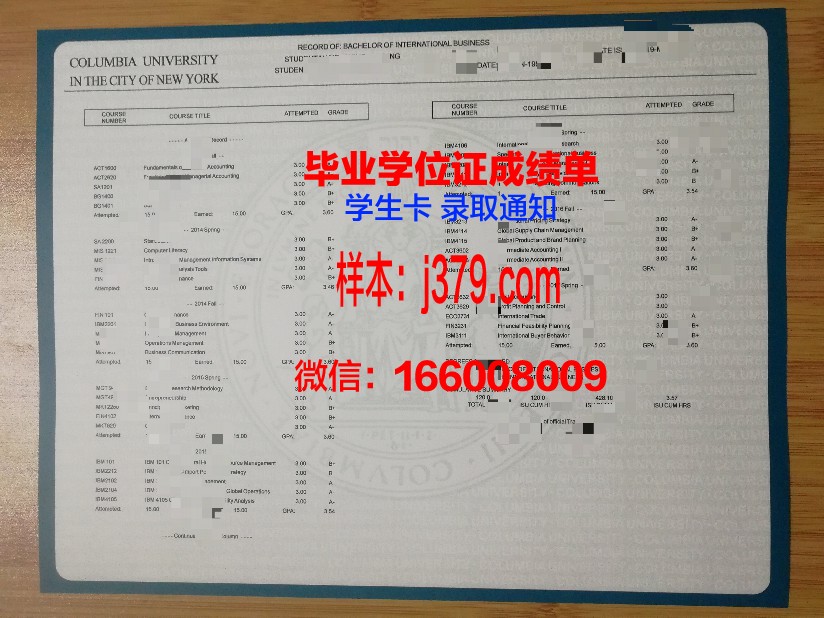 巴比什-波雅依大学学位成绩单定制：探索学术诚信与教育公平的边界