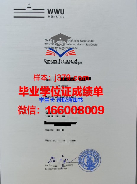 明斯特艺术学院成绩单：揭示艺术教育的卓越成果