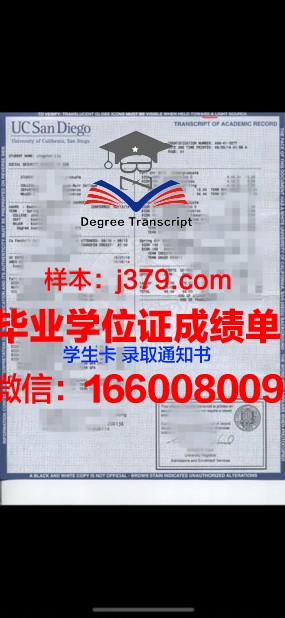 旧艺大成绩单：怀旧情怀下的青春剪影