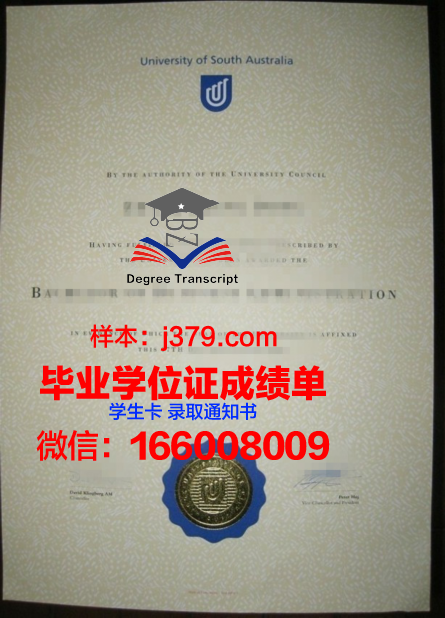 南澳大利亚技术与继续教育学院博士毕业证书(南澳大学博士)
