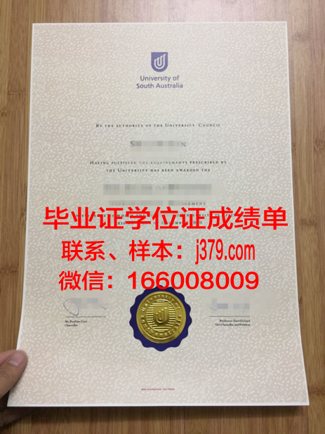 南澳大学毕业证相当于什么级别(南澳大学如何)