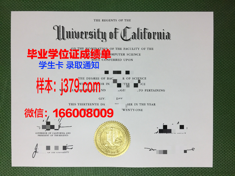 蒙特埃里森大学 diploma 毕业证