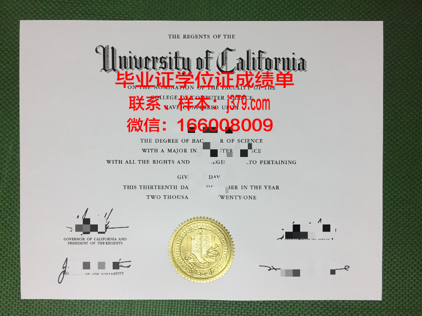 南十字星大学酒店管理学院毕业证成绩单