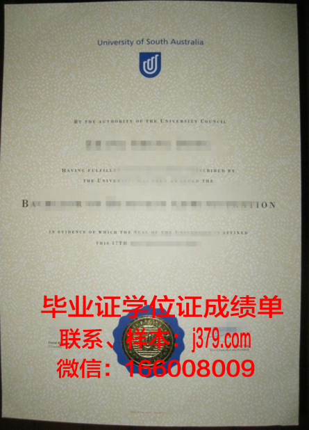 南澳大学毕业证相当于什么级别(南澳大学如何)