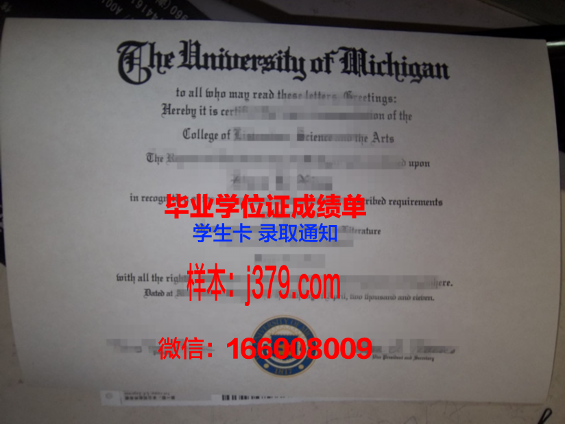 南十字星大学毕业证模板