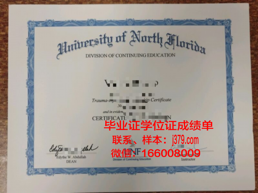 南佛罗里达大学毕业证电子版