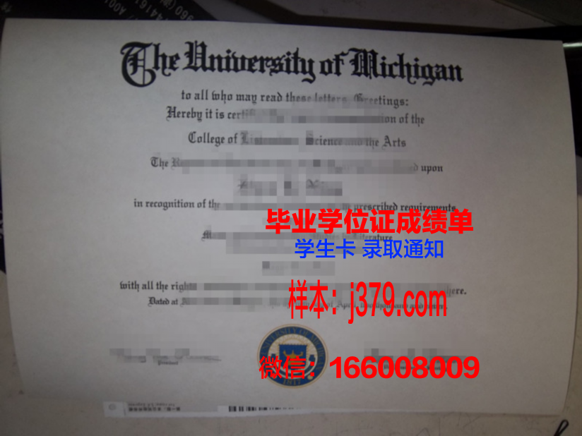 南十字星教育学院毕业证：开启国际化教育新篇章