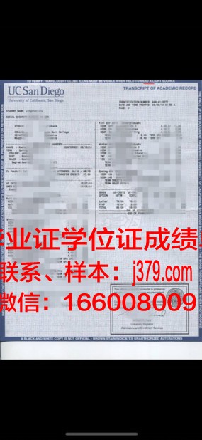 大学阶段成绩单：记录青春足迹，见证成长历程