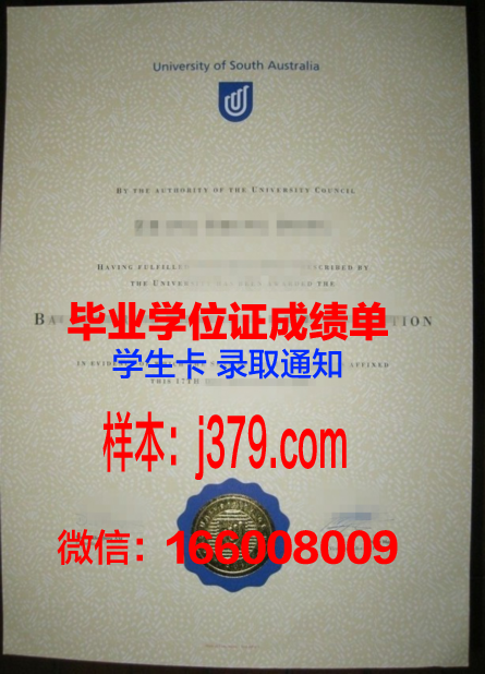 南澳毕业证定制店探秘：寻找记忆的载体