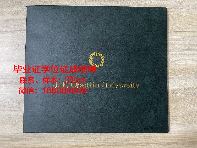 大田加图立大学diploma证书(加图立大学一般大学院)