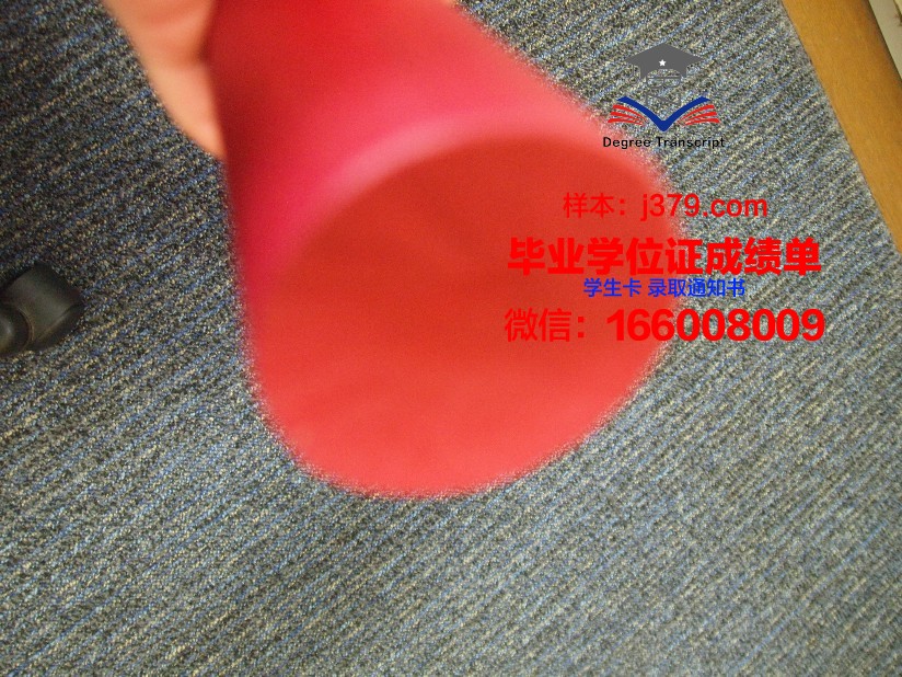 南澳大利亚大学毕业证是真的吗(澳大利亚南澳大学学费是多少)