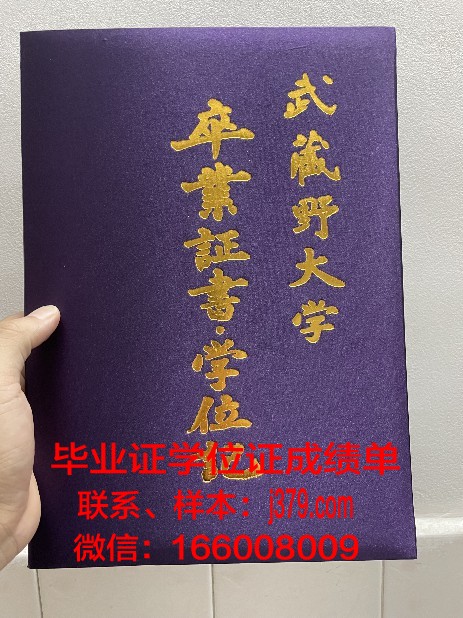 日本武藏野美术大学毕业证(武藏野美术大学日本画)